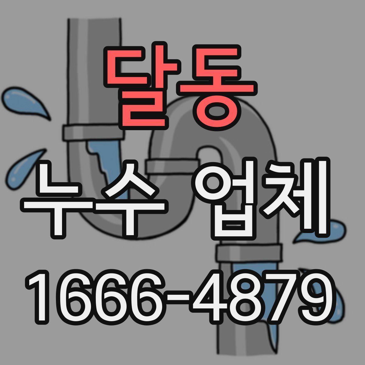 달동 누수 업체
