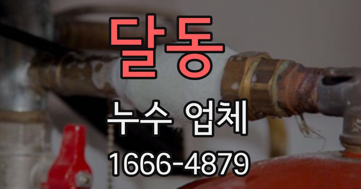 달동 누수 업체