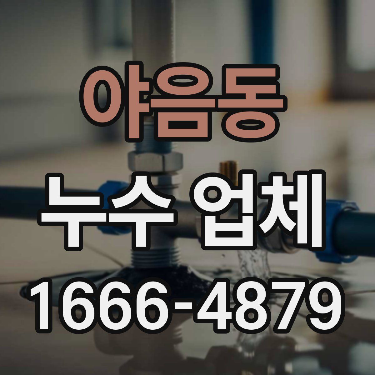 야음동 누수 업체