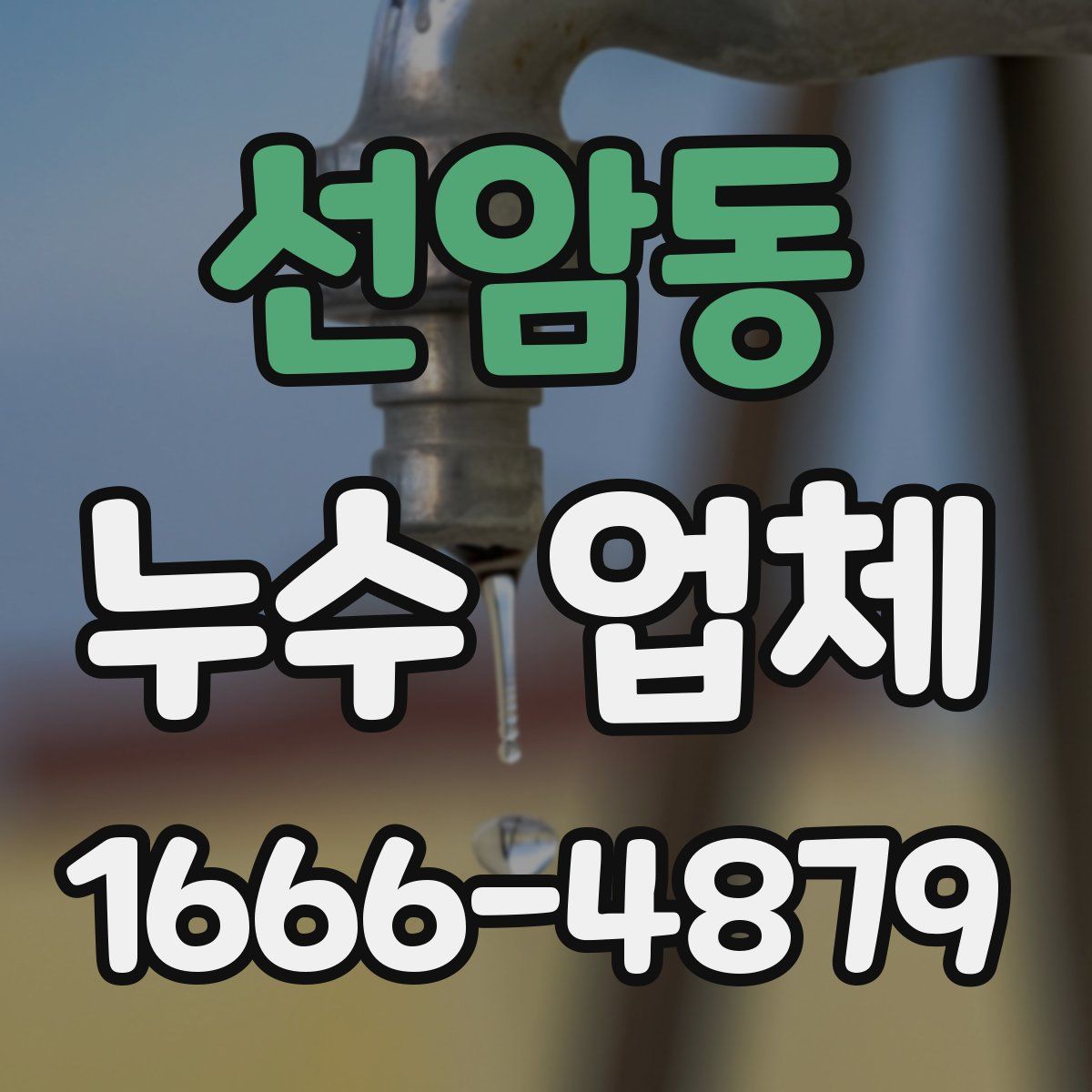 선암동 누수 업체