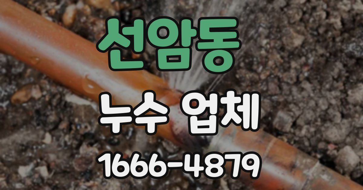 선암동 누수 업체