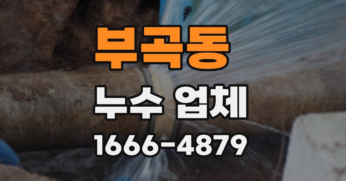 부곡동 누수 업체