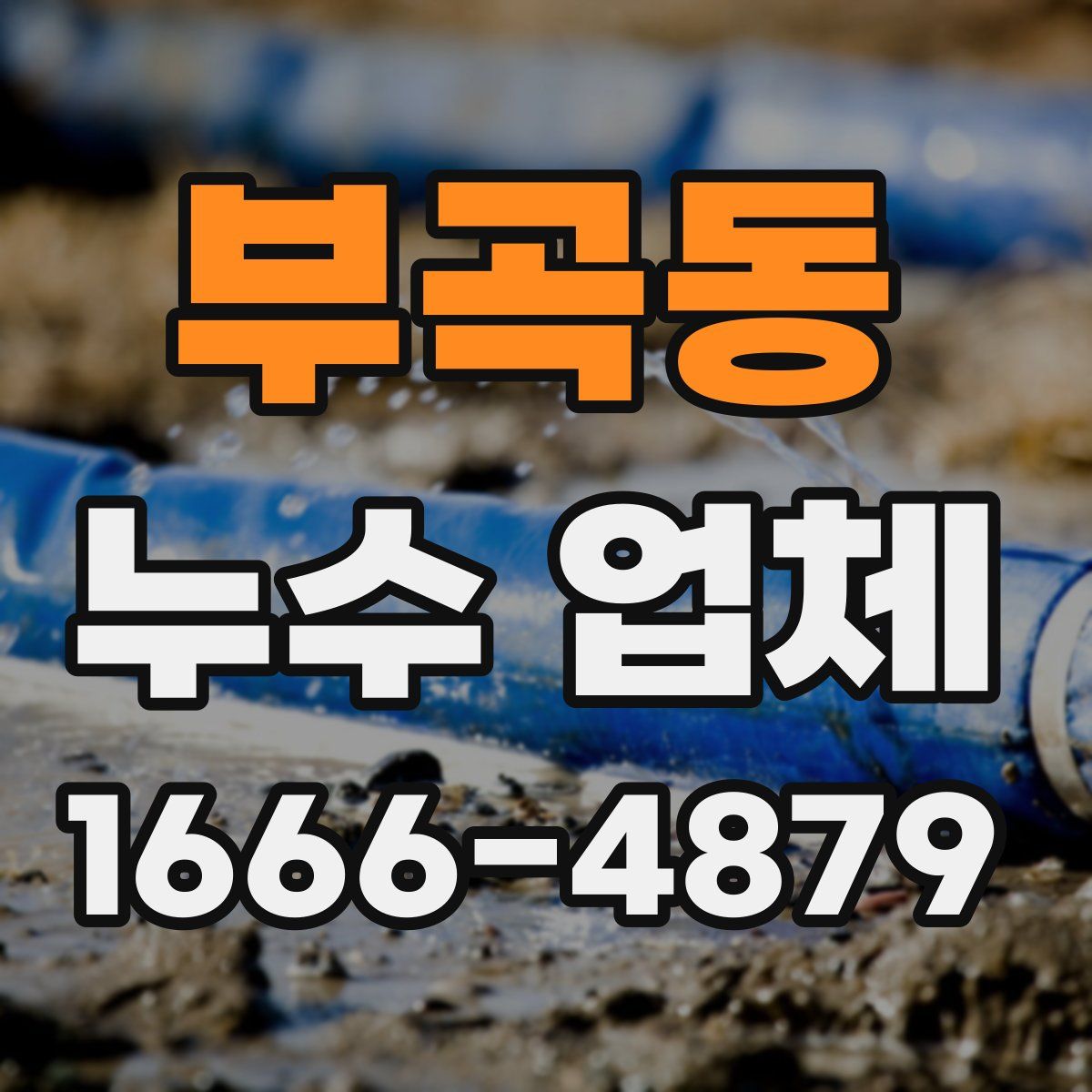 부곡동 누수 업체