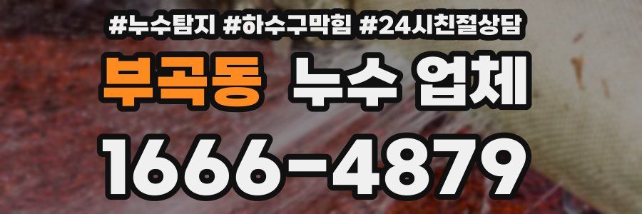 부곡동 누수 업체