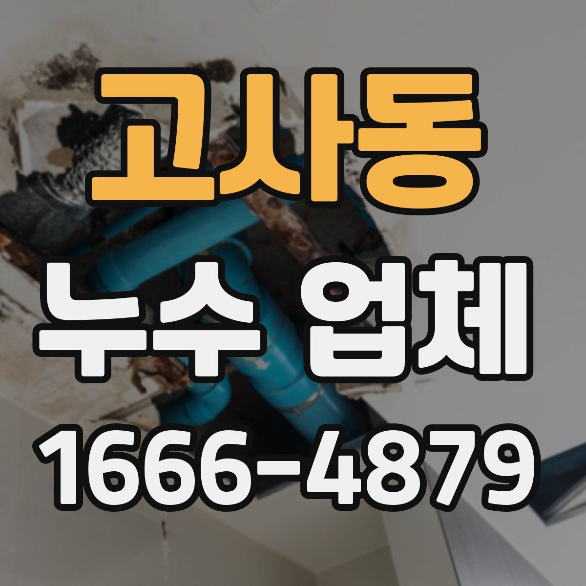 고사동 누수 업체