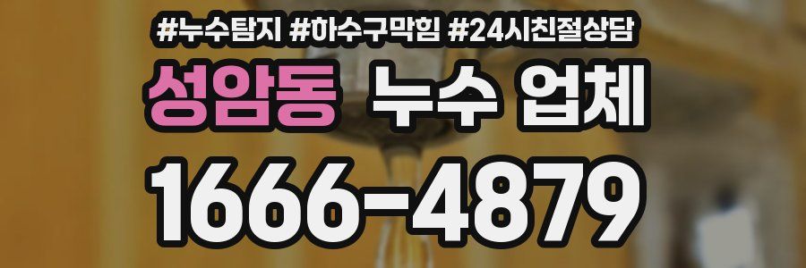 성암동 누수 업체