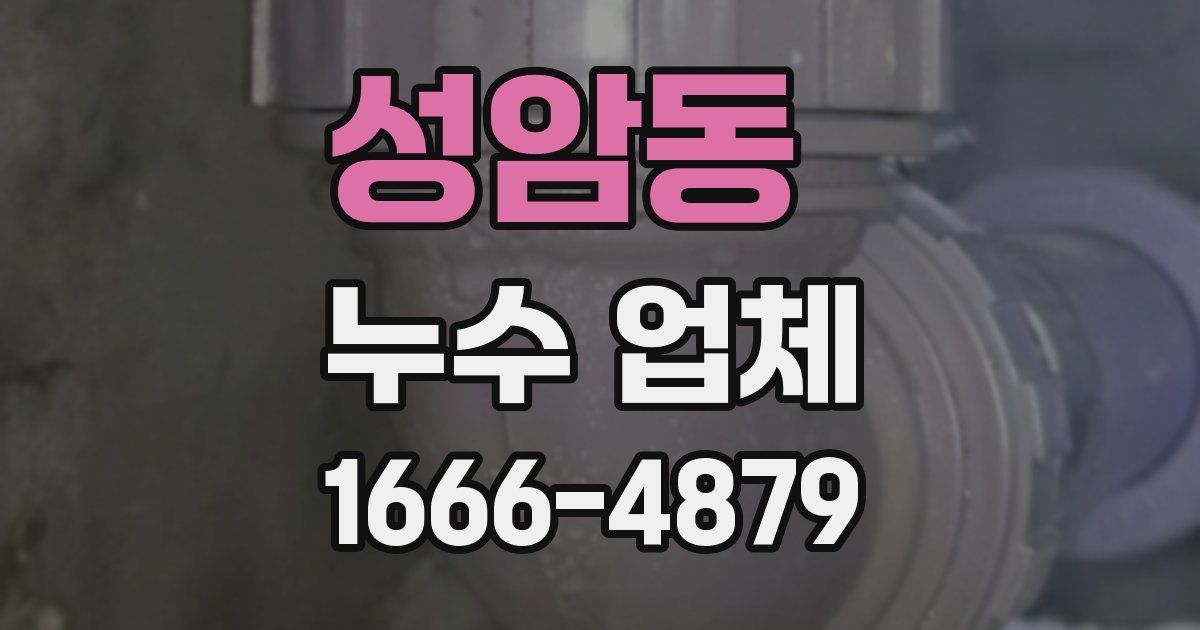 성암동 누수 업체