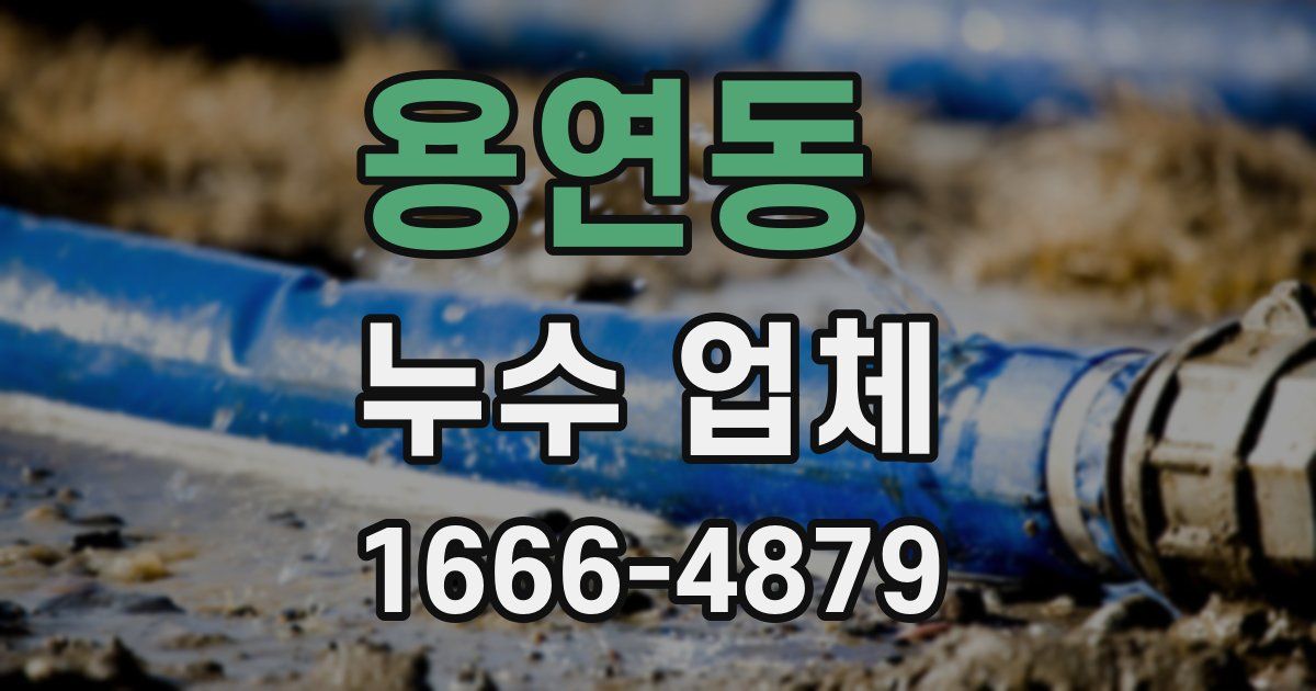 용연동 누수 업체