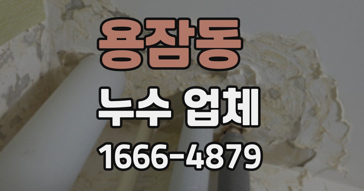 용잠동 누수 업체