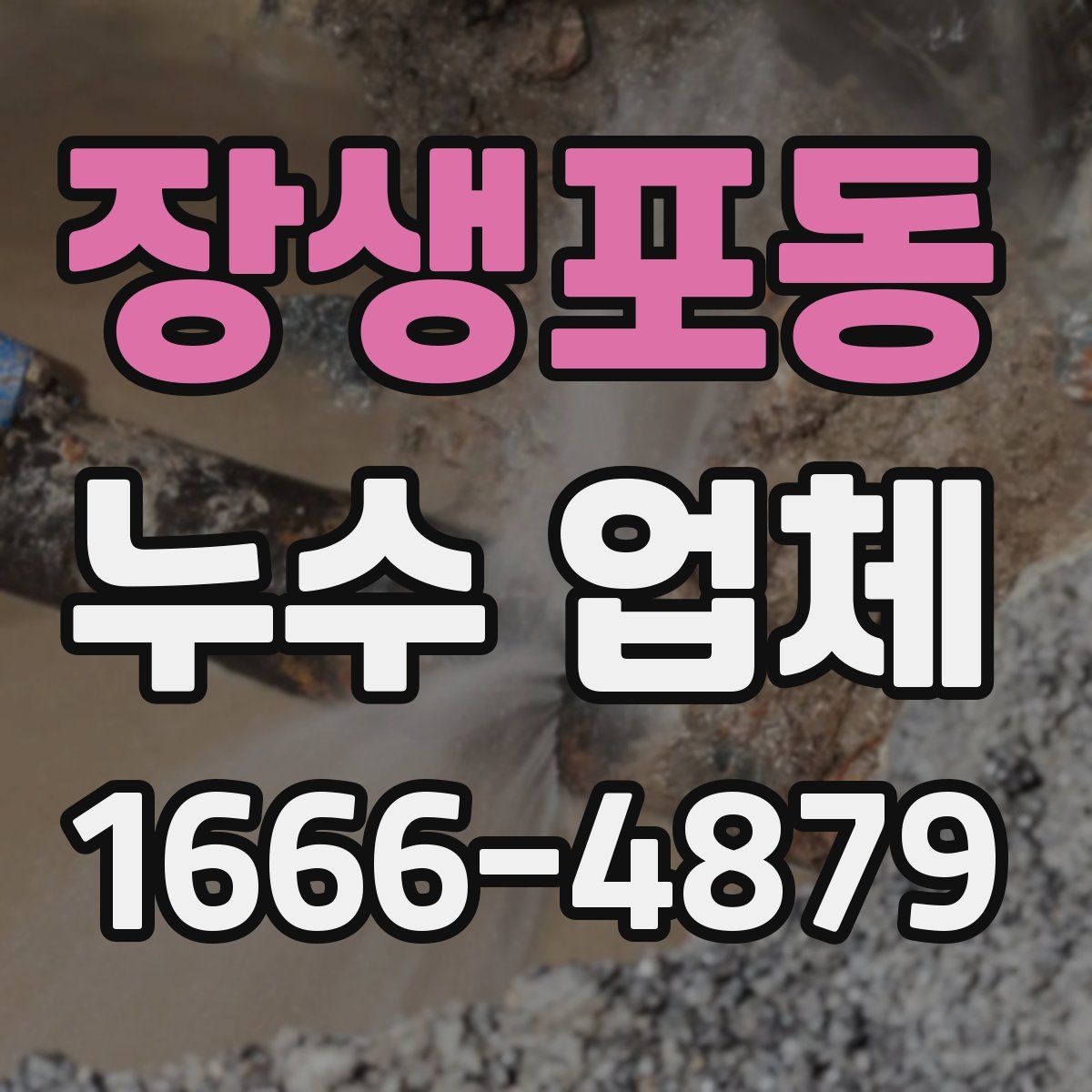 장생포동 누수 업체