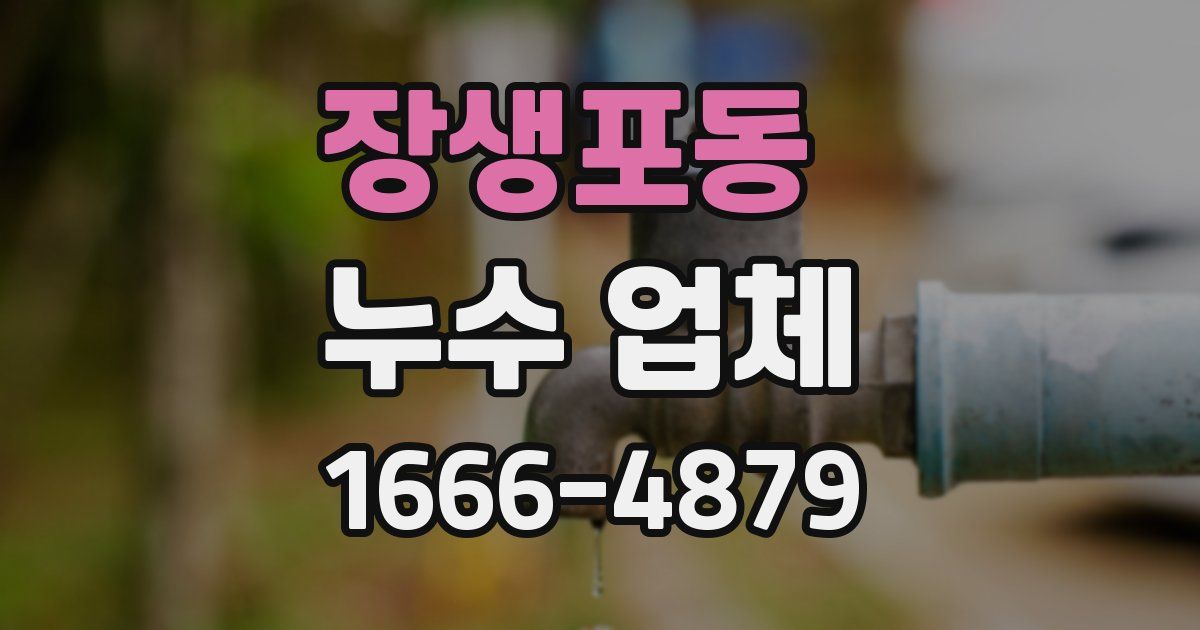 장생포동 누수 업체