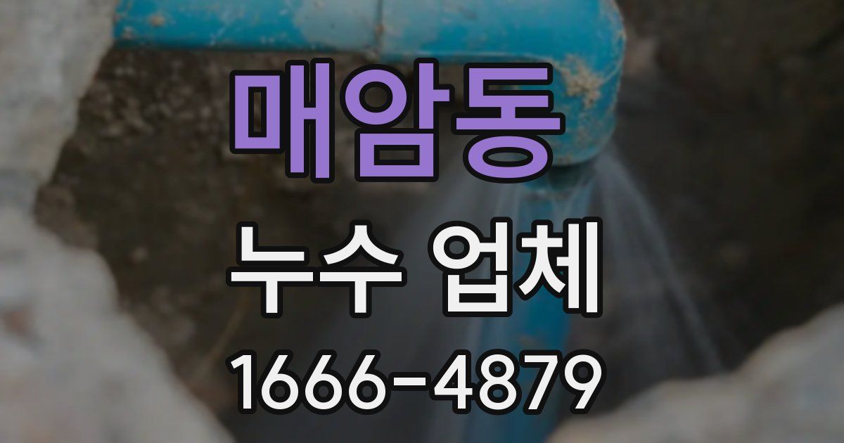 매암동 누수 업체