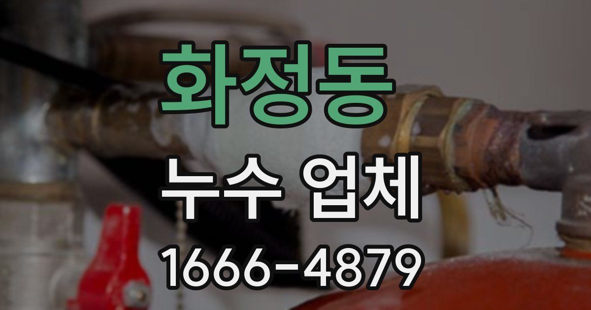 화정동 누수 업체