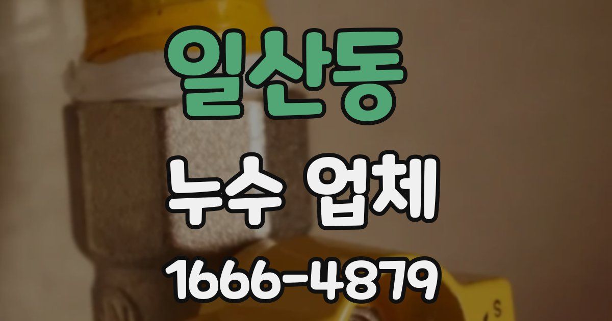 일산동 누수 업체