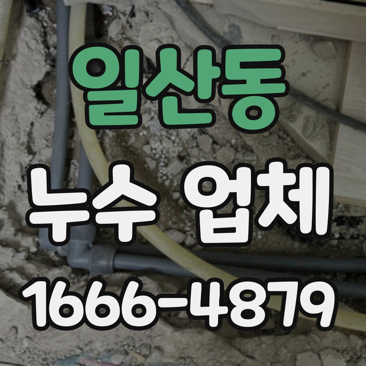 일산동 누수 업체