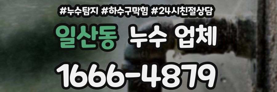 일산동 누수 업체