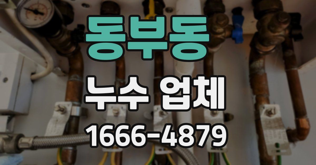 동부동 누수 업체