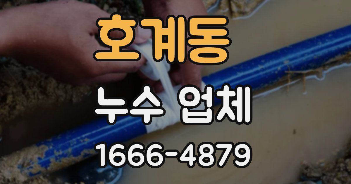 호계동 누수 업체