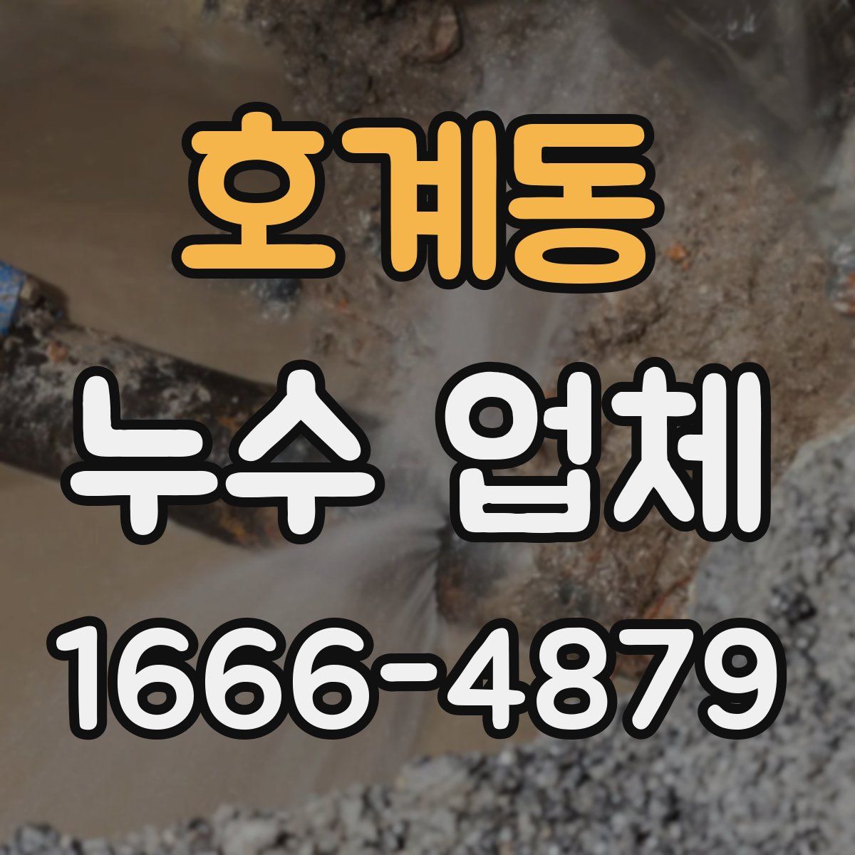 호계동 누수 업체