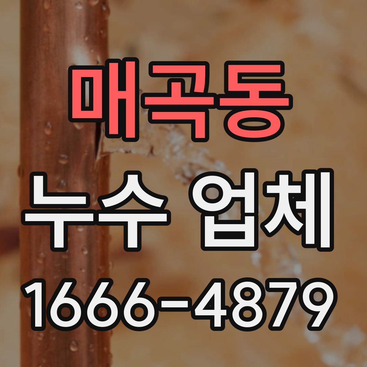 매곡동 누수 업체
