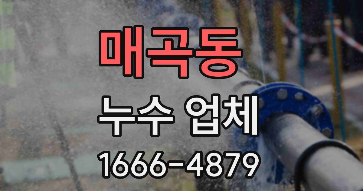 매곡동 누수 업체