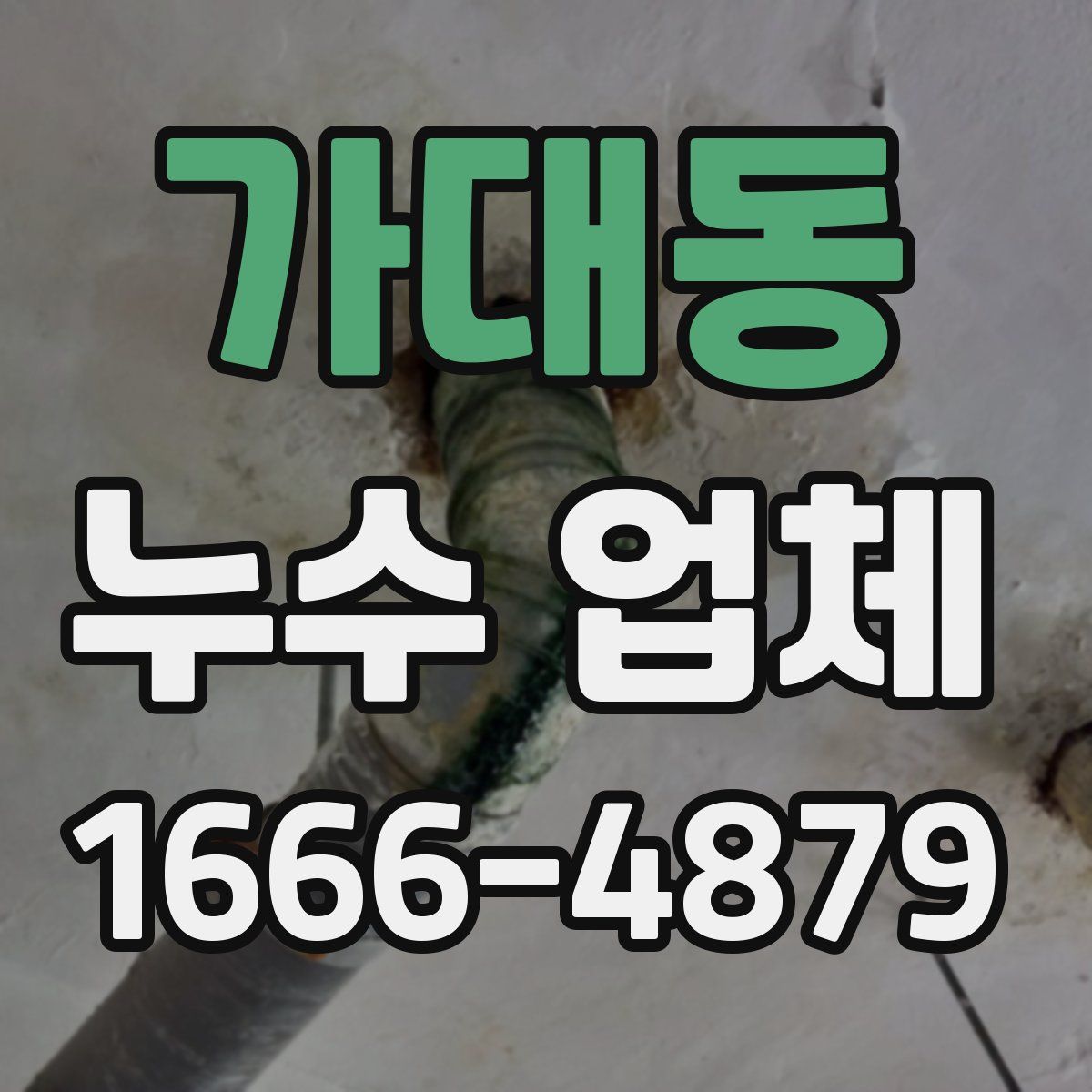 가대동 누수 업체