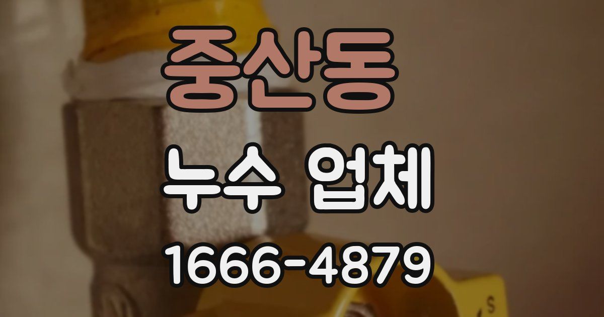 중산동 누수 업체