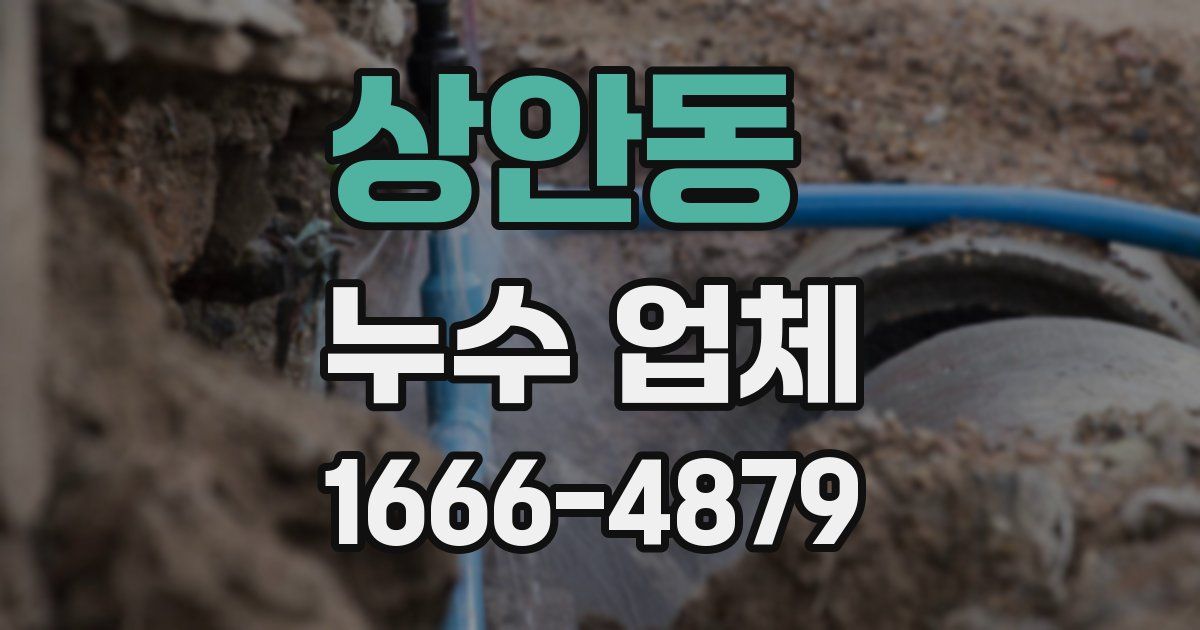 상안동 누수 업체