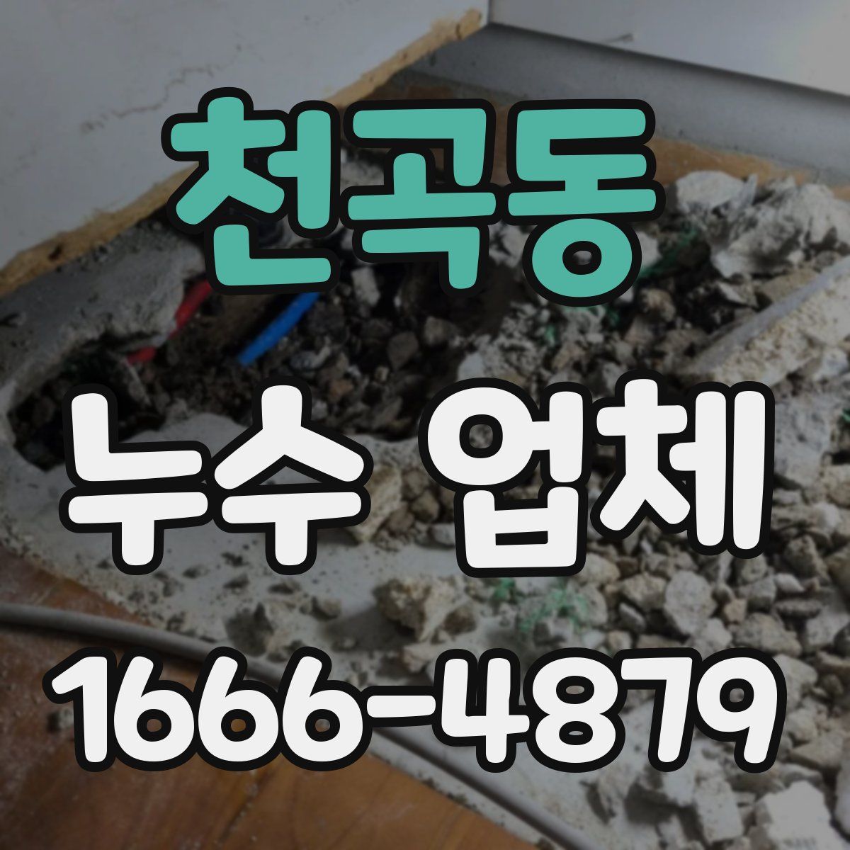 천곡동 누수 업체