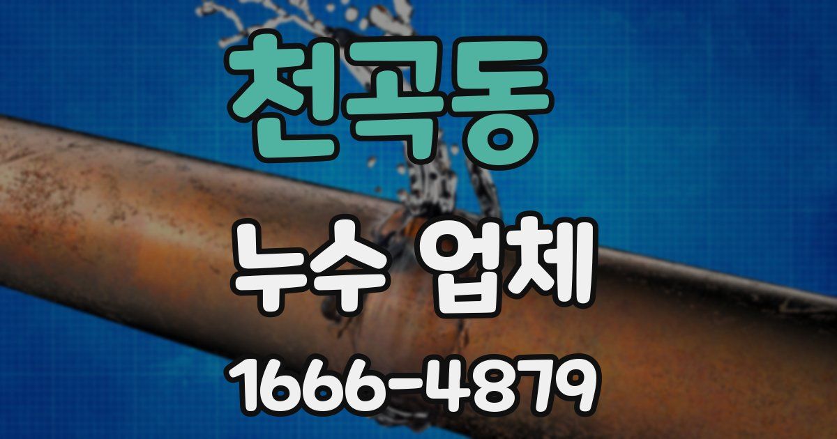 천곡동 누수 업체