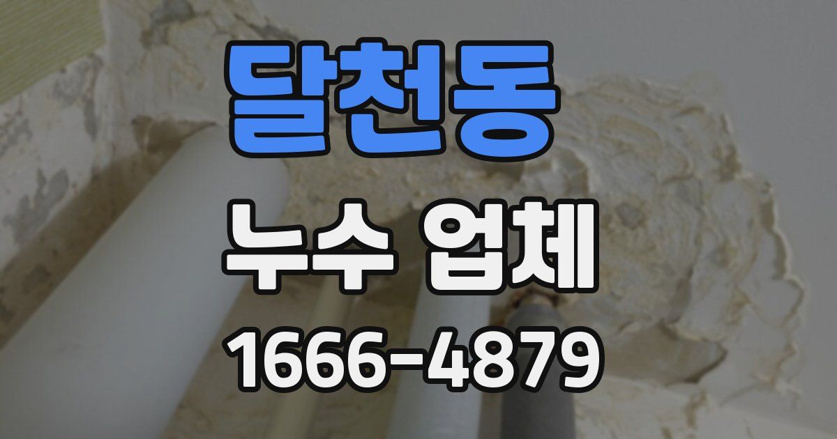 달천동 누수 업체
