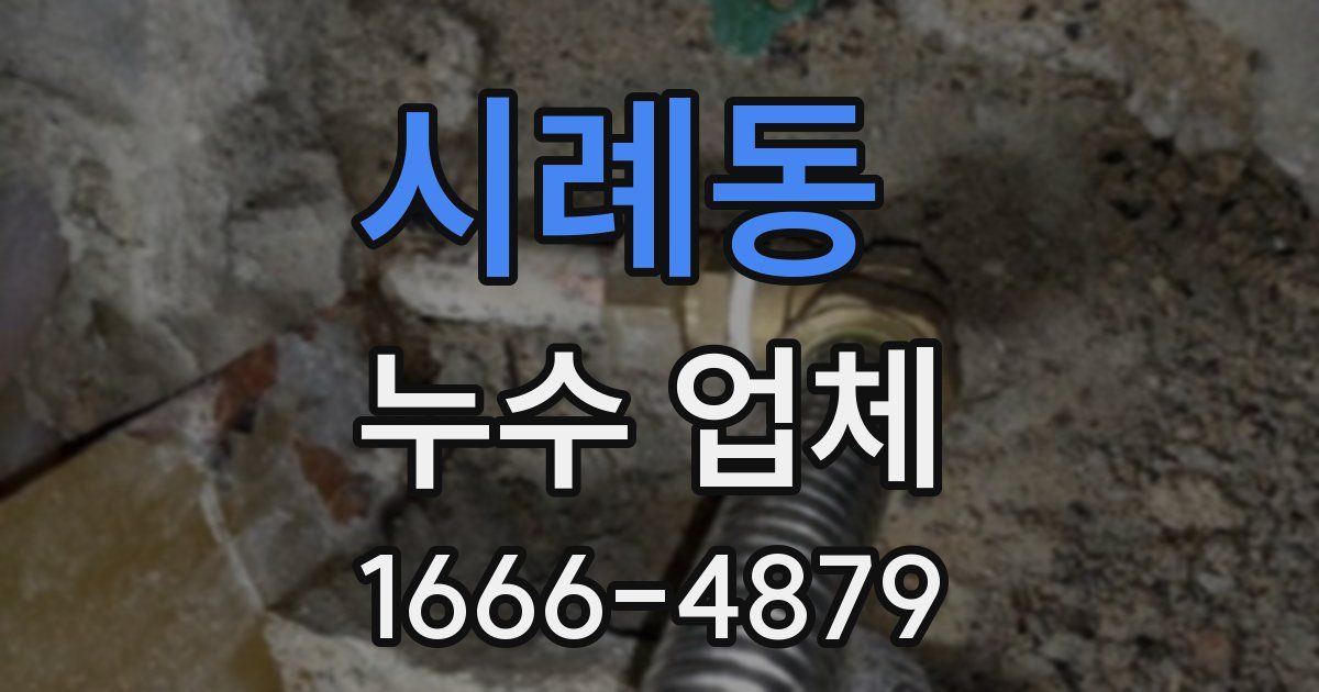 시례동 누수 업체
