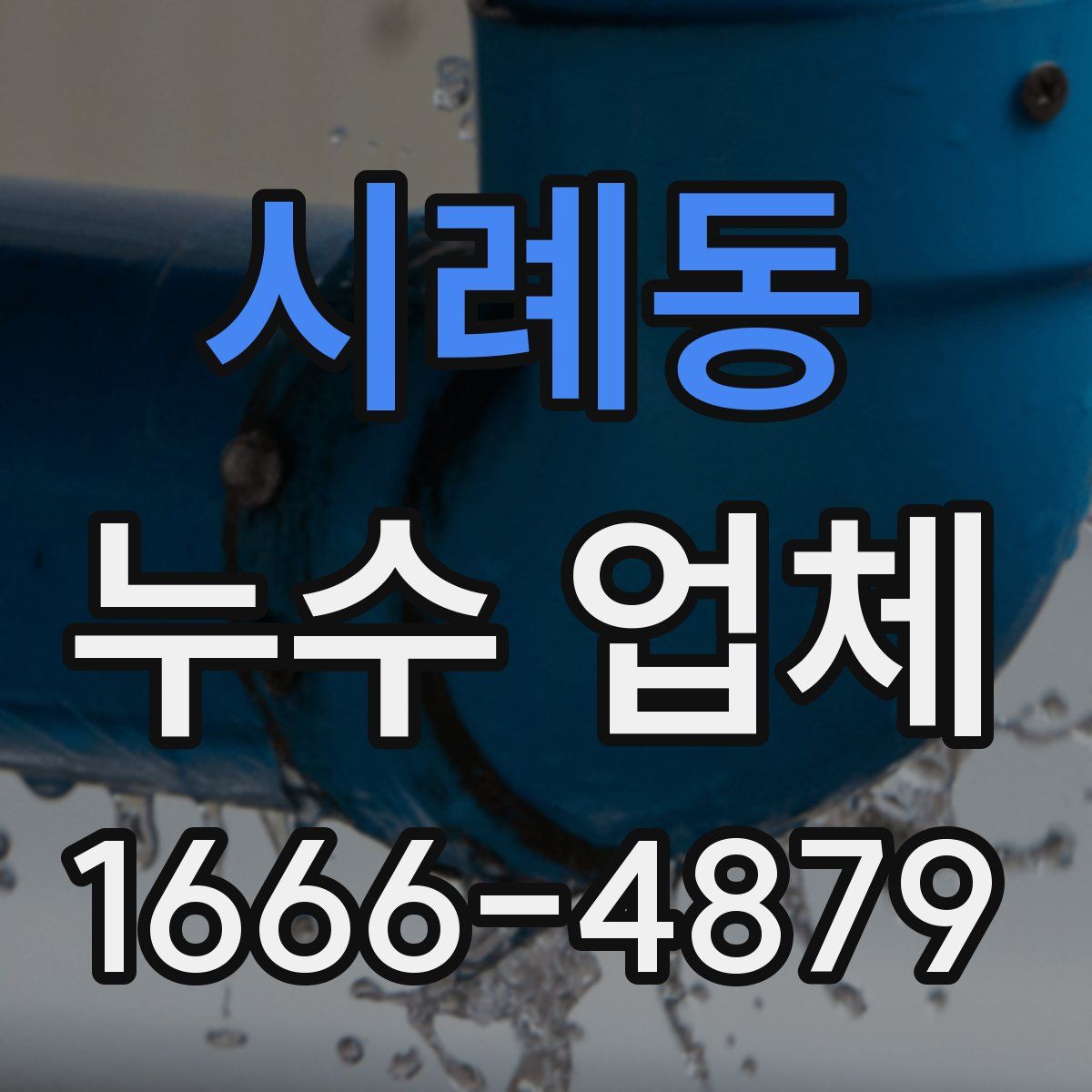 시례동 누수 업체