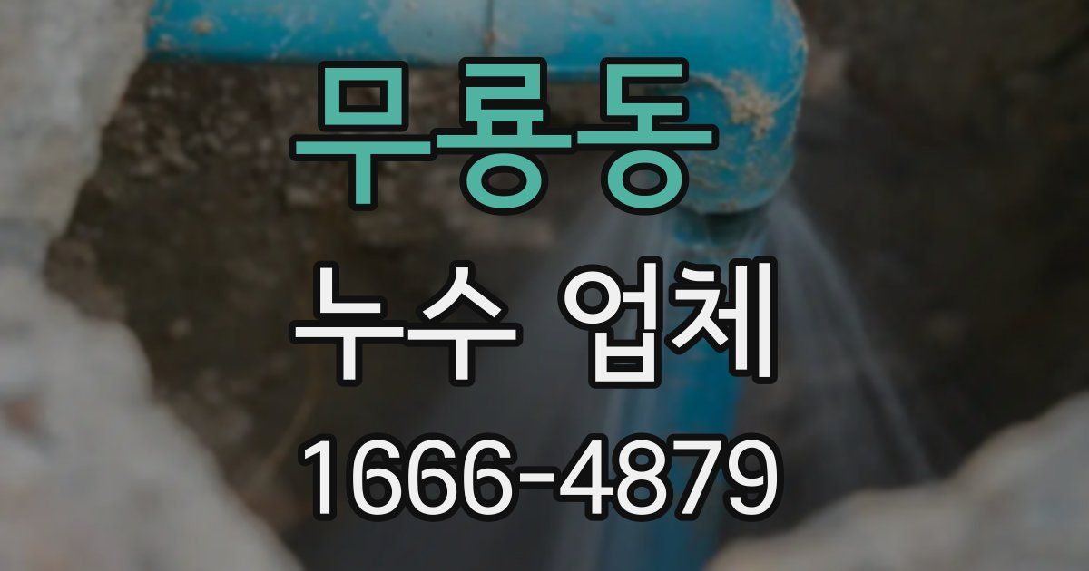 무룡동 누수 업체