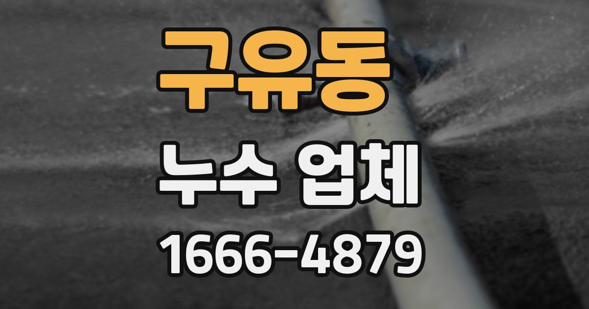 구유동 누수 업체