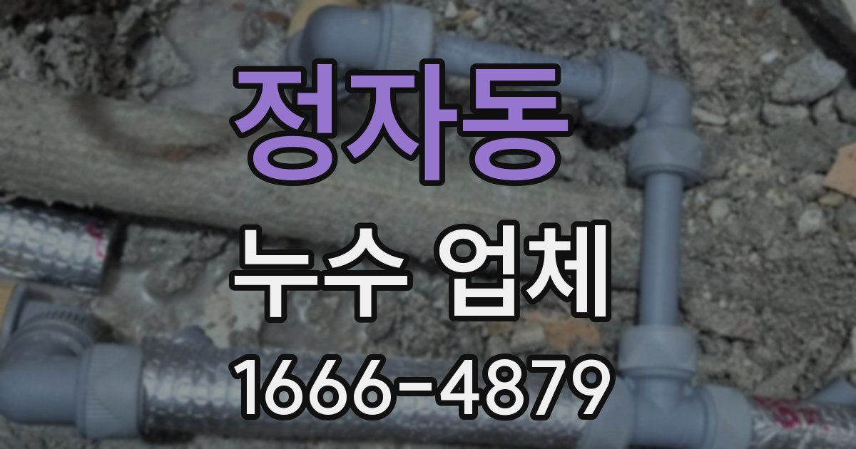 정자동 누수 업체