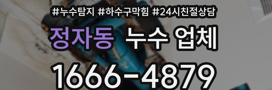 정자동 누수 업체
