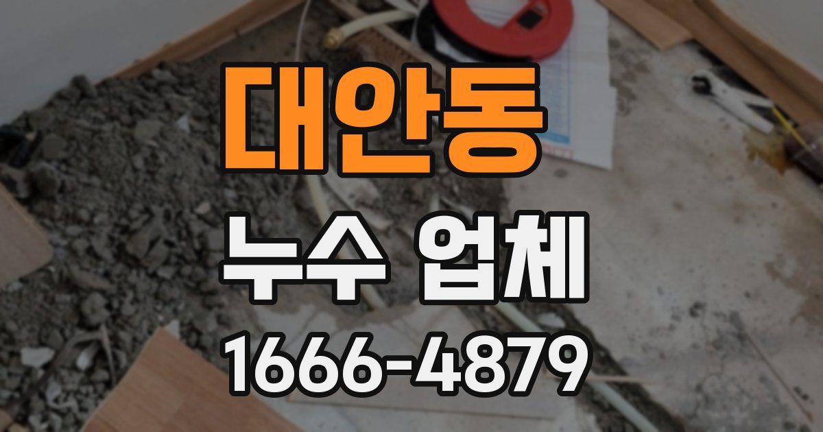 대안동 누수 업체