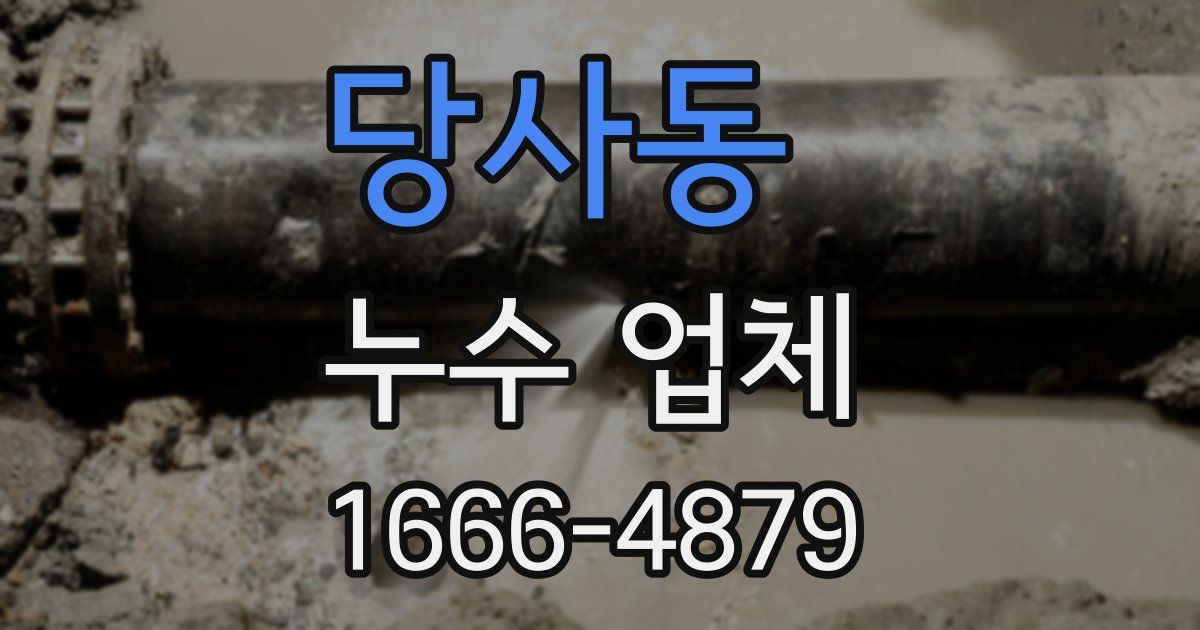 당사동 누수 업체