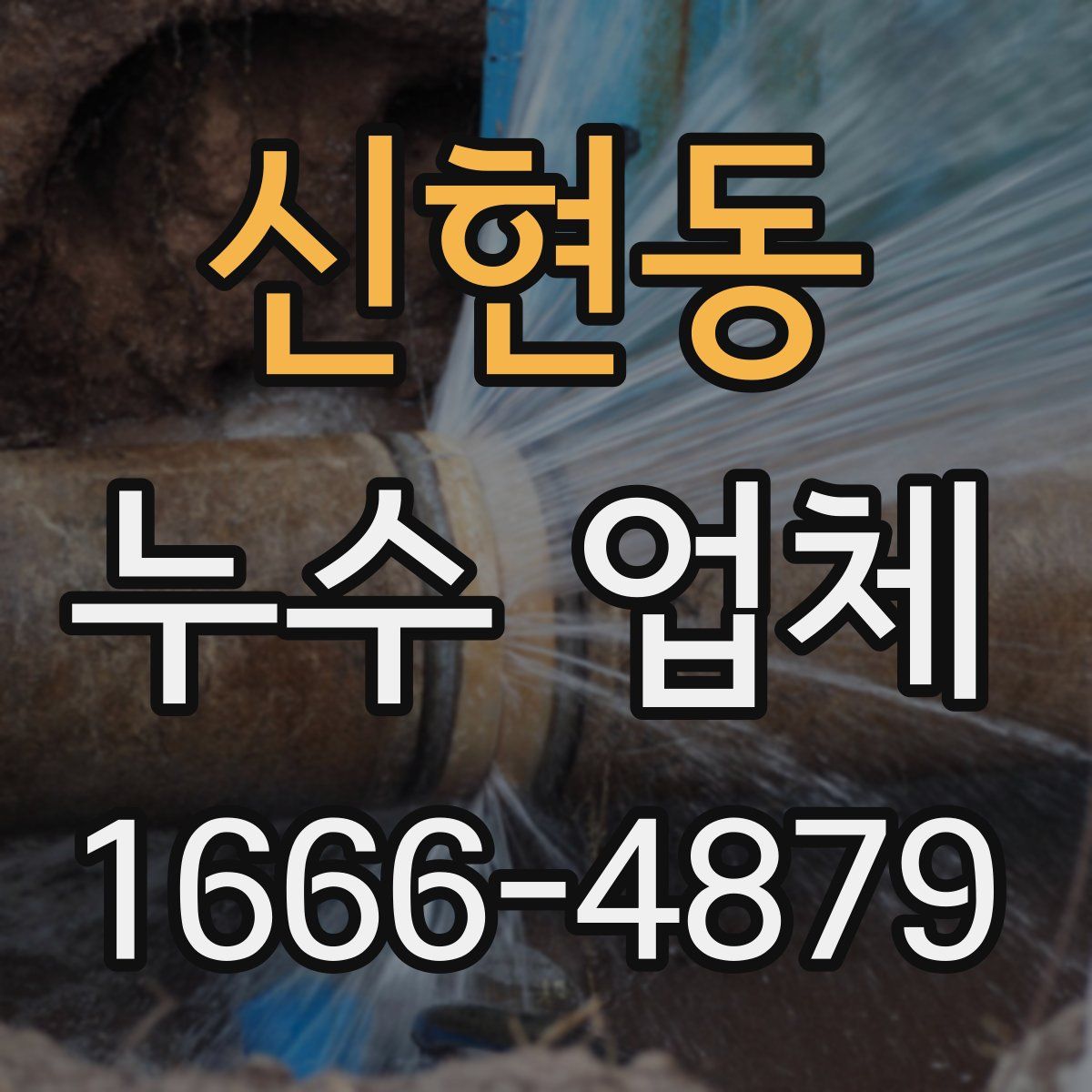 신현동 누수 업체