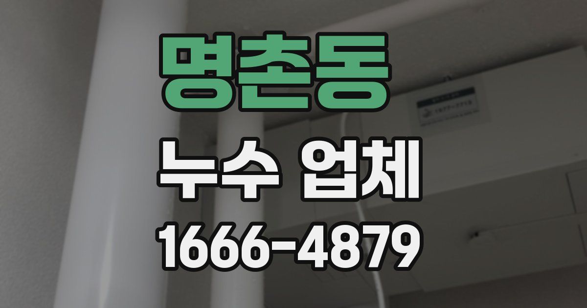 명촌동 누수 업체