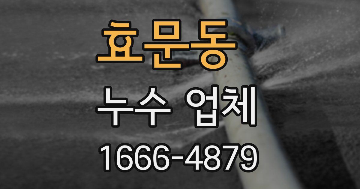효문동 누수 업체