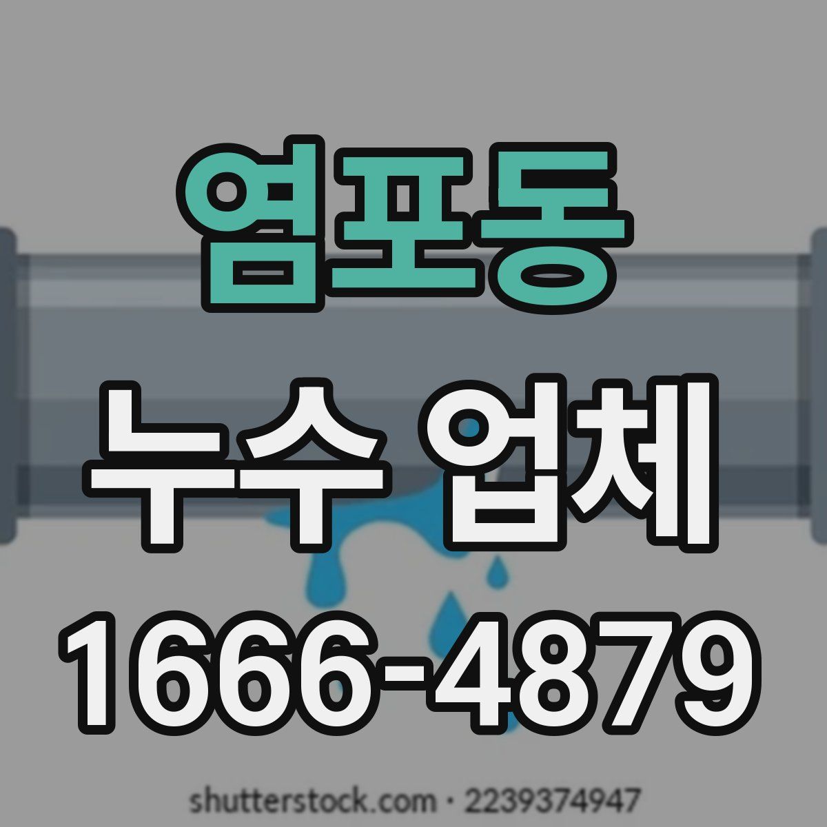 염포동 누수 업체