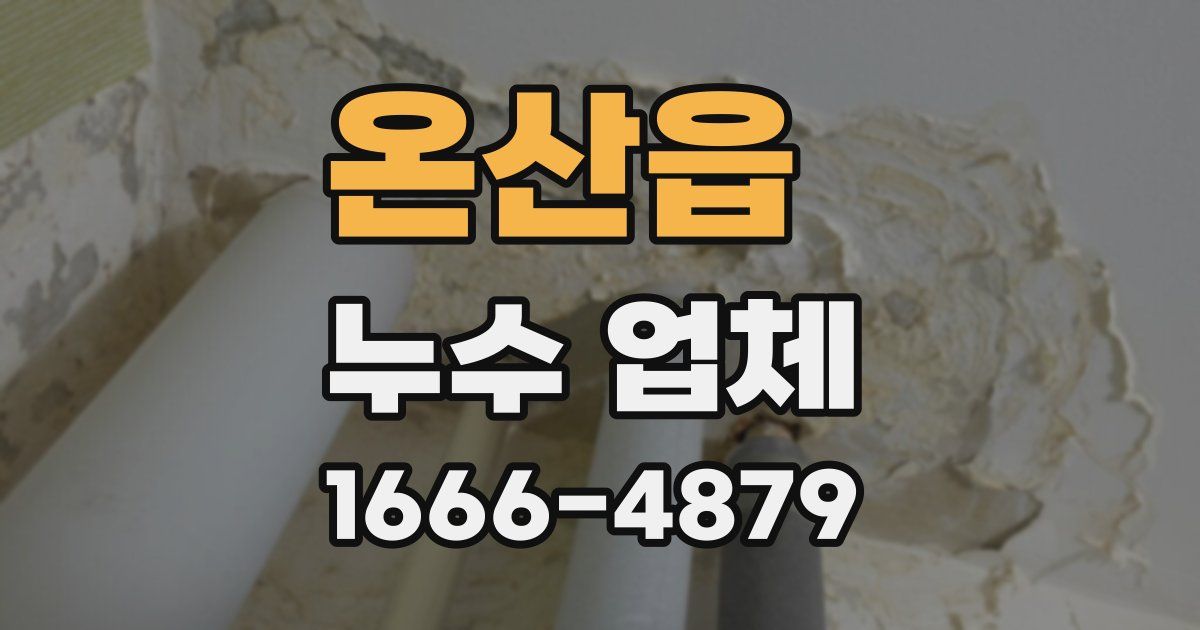 온산읍 누수 업체