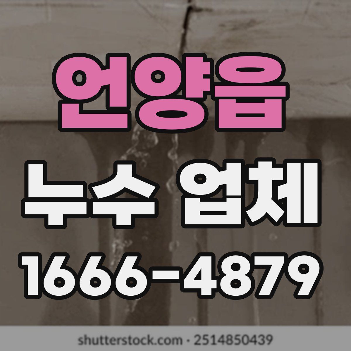언양읍 누수 업체