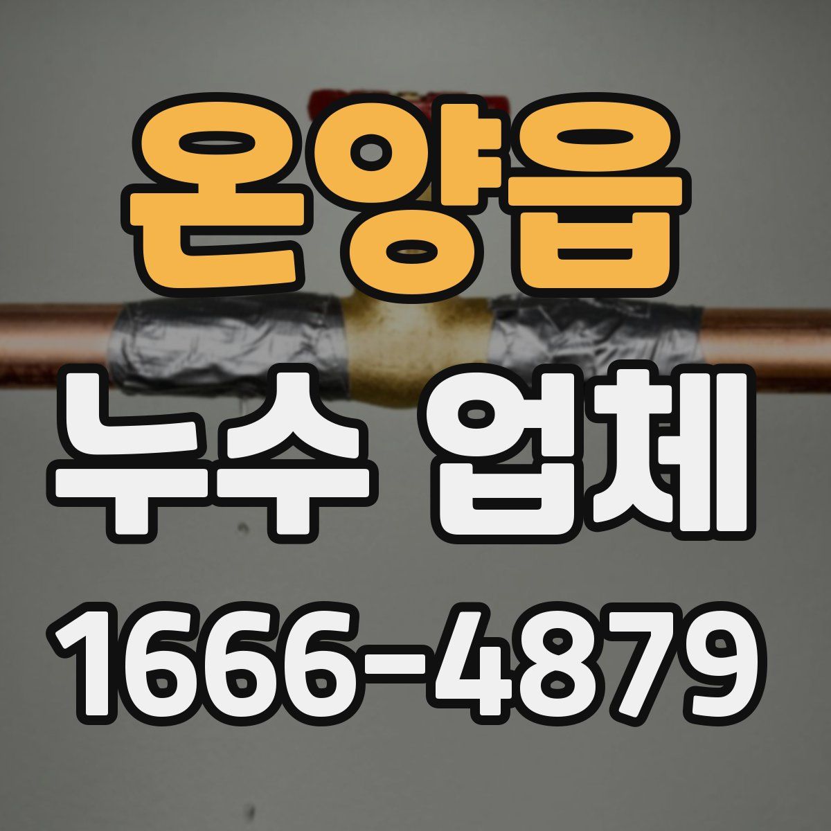 온양읍 누수 업체