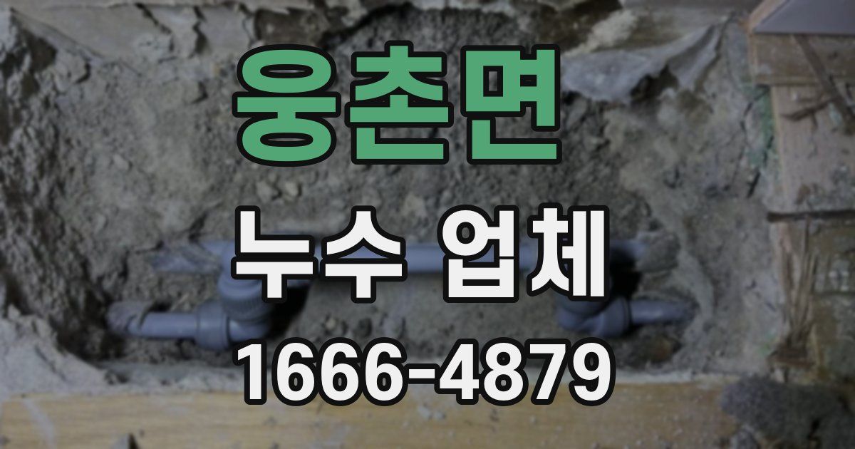 웅촌면 누수 업체
