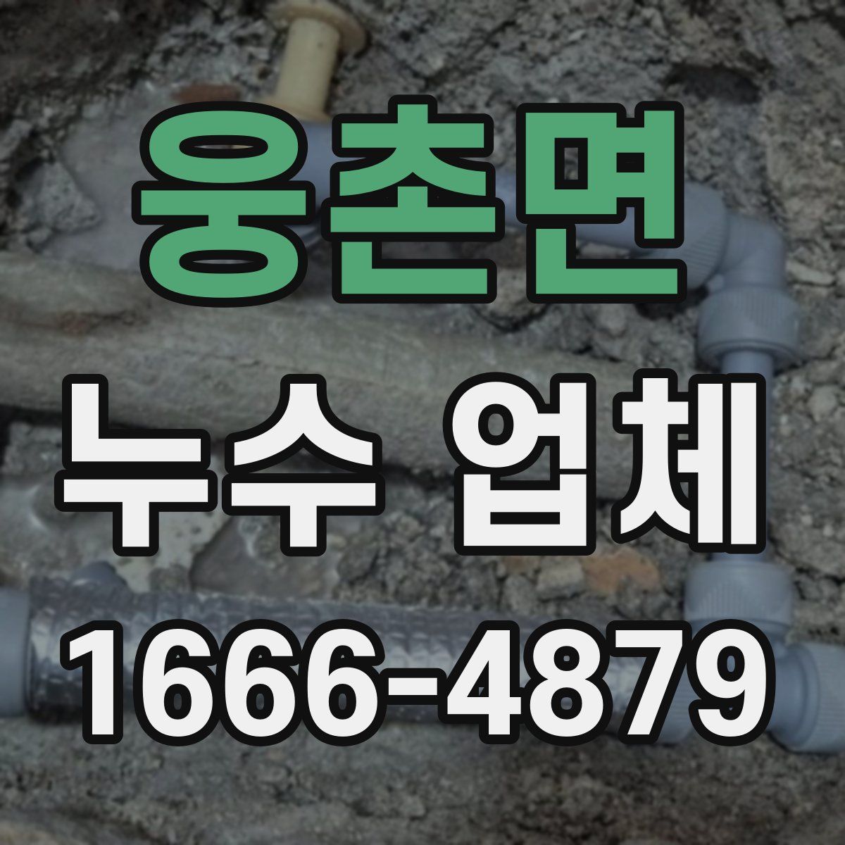웅촌면 누수 업체