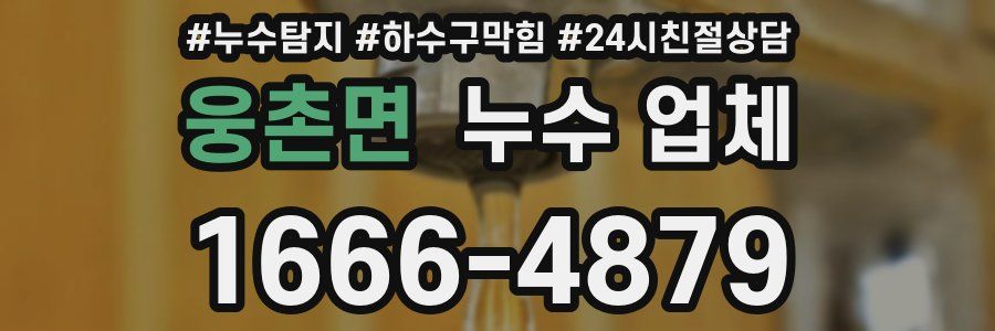 웅촌면 누수 업체