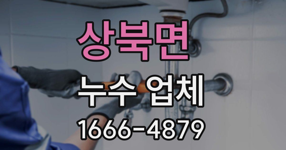 상북면 누수 업체